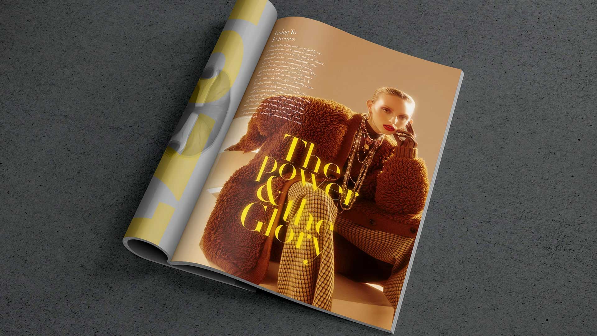 奢侈時尚VI設計